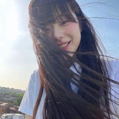 托梅斯的导盲犬